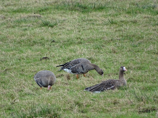 罗伯逊：制胜点球确实有点勉强，希望能继续与萨拉赫并肩作战