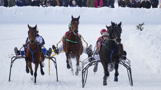 李新翔：我的第一次中超冠军；海港是冠军，连冠无人能撼动
