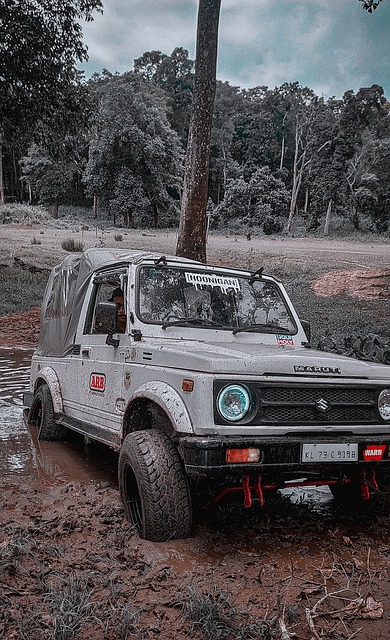 孙兴慜：热刺永远在我心中，我将会像家人一样为你们加油